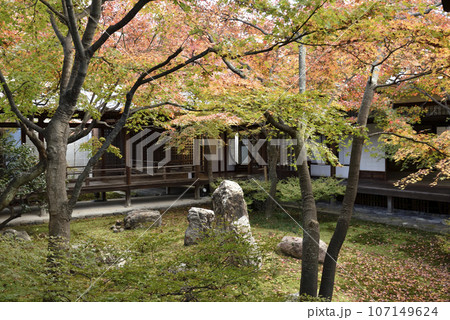 秋の潮音庭 建仁寺 秋の潮音庭 建仁寺 107149624