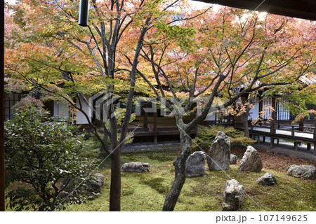 秋の潮音庭 建仁寺 秋の潮音庭 建仁寺 107149625