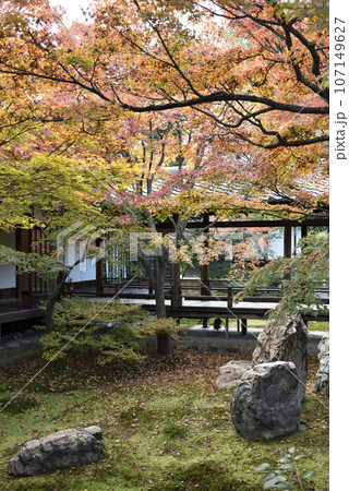 秋の潮音庭 建仁寺 秋の潮音庭 建仁寺 107149627