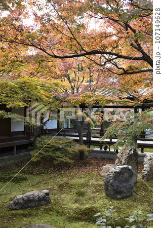 秋の潮音庭　建仁寺 107149628