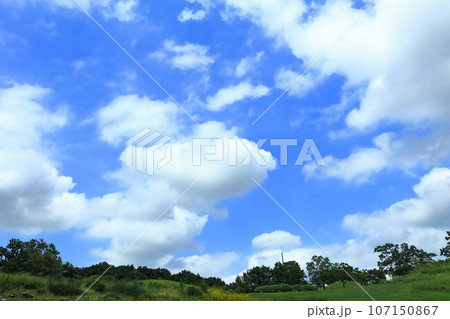 【香川県】夏の国営讃岐まんのう公園（芝生広場と青空） 107150867