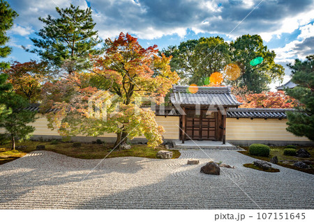 等持院の秋、紅葉が色づきはじめる方丈南庭、枯山水庭園の唐門と砂敷に秋の柔らかな西陽 107151645
