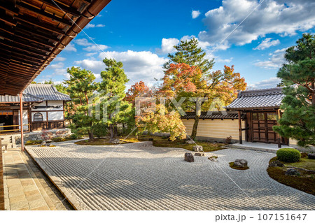 等持院の秋、紅葉が色づきはじめる方丈南庭、枯山水庭園の唐門と砂敷に秋の柔らかな西陽 107151647