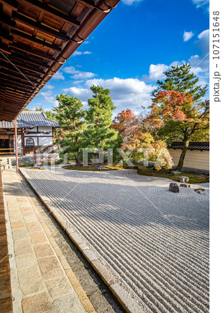 等持院の秋、紅葉が色づきはじめる方丈南庭、枯山水庭園の唐門と砂敷に秋の柔らかな西陽 107151648