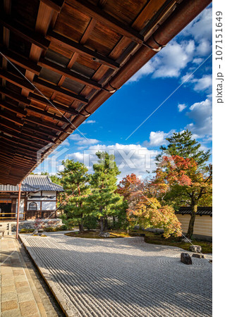 等持院の秋、紅葉が色づきはじめる方丈南庭、枯山水庭園の唐門と砂敷に秋の柔らかな西陽 107151649