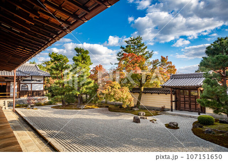 等持院の秋、紅葉が色づきはじめる方丈南庭、枯山水庭園の唐門と砂敷に秋の柔らかな西陽 107151650