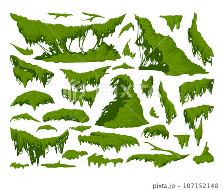 Green moss plants. Cartoon jungle moss hanging and creeping, lichen and moss flat vector illustration set. Tropical rainy forest flora collection Green moss plants. Cartoon jungle moss hanging and creeping, lichen and moss flat vector illustration set. Tropical rainy forest flora collection 107152148