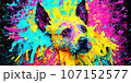 Dog's head in colorful colors, art illustration, picture for design. 107152577