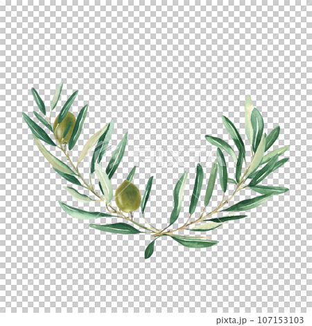 Olive branches bouquet with green olives isolated on white background. Watercolor hand drawn botanical illustration. Can be used for cards, menu, logos, cosmetic, food packaging design 107153103