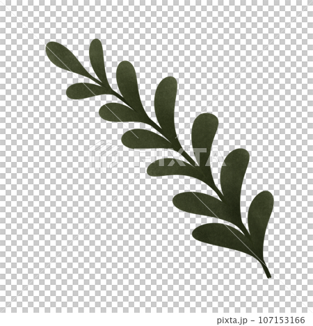cartoon of green olive branch, no background, Autumn cartoon of green olive branch, no background, Autumn 107153166