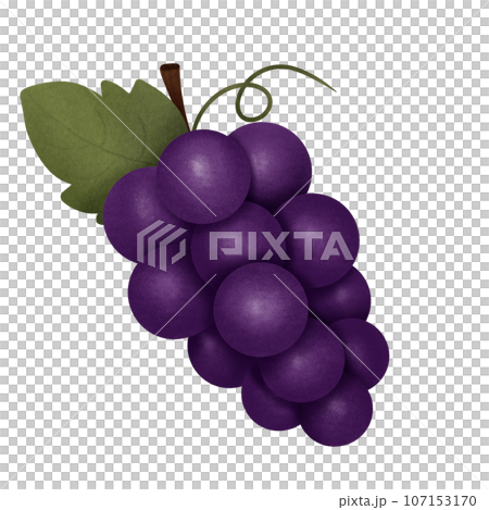 Cute cartoon of purple grape no background 107153170