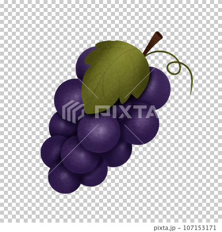 Cute cartoon of purple grape no background Cute cartoon of purple grape no background 107153171