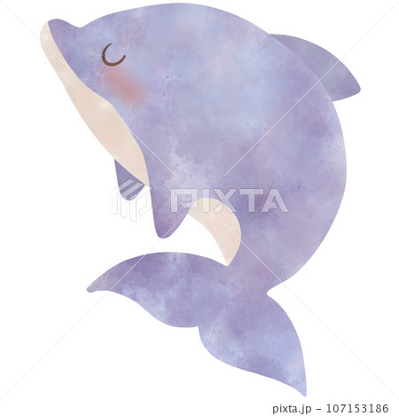 cate cartoon purple dolphin, no background cate cartoon purple dolphin, no background 107153186