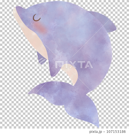 cate cartoon purple dolphin, no background cate cartoon purple dolphin, no background 107153186