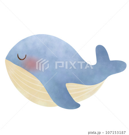cate cartoon blue whale, no background cate cartoon blue whale, no background 107153187