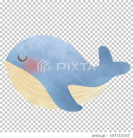 cate cartoon blue whale, no background cate cartoon blue whale, no background 107153187