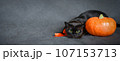 Burmese cat and pumpkin on Halloween background, banner 107153713