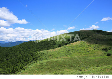 愛媛県西予市 大野ヶ原の風景 愛媛県西予市 大野ヶ原の風景 107154146