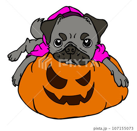 ジャックオランタンと黒パグのハロウィン ジャックオランタンと黒パグのハロウィン 107155073