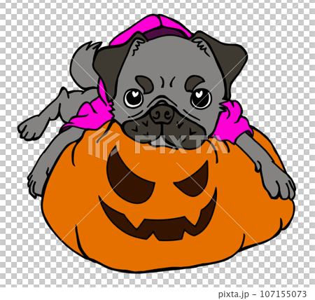 ジャックオランタンと黒パグのハロウィン ジャックオランタンと黒パグのハロウィン 107155073