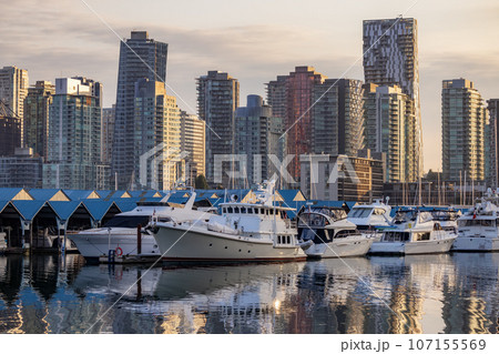 Downtown Vancouver, British Columbia, Canada. Moder City Buildings in Stanley Park 107155569