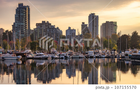 Downtown Vancouver, British Columbia, Canada. Moder City Buildings in Stanley Park 107155570