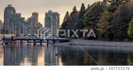 Downtown Vancouver, British Columbia, Canada. Moder City Buildings in Stanley Park Downtown Vancouver, British Columbia, Canada. Moder City Buildings in Stanley Park 107155576