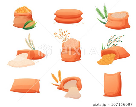 Cartoon bags with cereals. Rye flour, cereal different bag. Cooking ingredients, wheat, rice, millet grains and plants. Agriculture nowaday vector set Cartoon bags with cereals. Rye flour, cereal different bag. Cooking ingredients, wheat, rice, millet grains and plants. Agriculture nowaday vector set 107156097