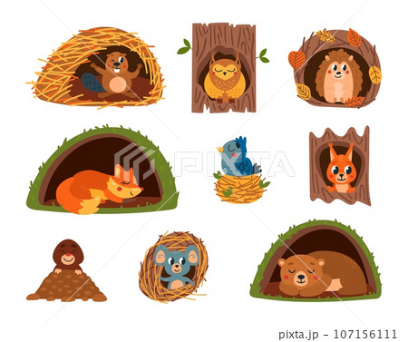 Animals in holes. Animal home, cartoon fox sleep in hole. Shelter in forest and on tree, bird nest. Cute mouse. Squirrel and hedgehog classy vector set Animals in holes. Animal home, cartoon fox sleep in hole. Shelter in forest and on tree, bird nest. Cute mouse. Squirrel and hedgehog classy vector set 107156111