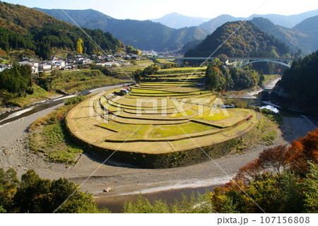 あらぎ島 107156808