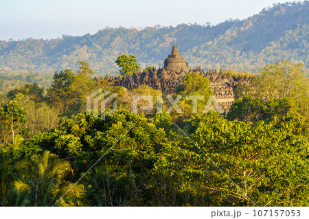 ダギの丘から望むボロブドゥール寺院（インドネシア・ジャワ島） 107157053
