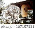 107157331