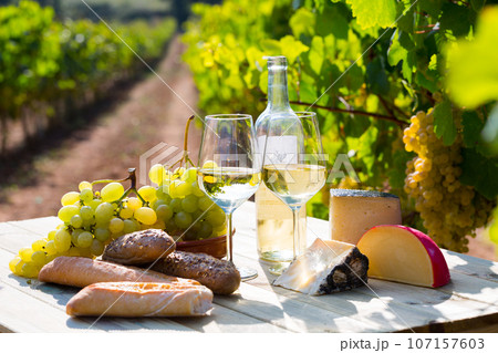 Wineglasses of wine on vineyard background 107157603