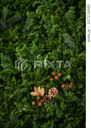 クリスマスのバック素材 107158860