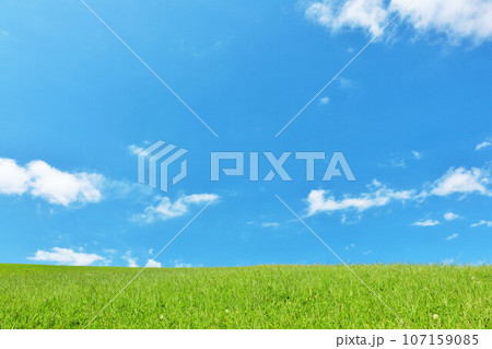 爽やかな夏の青空と新緑の草原風景 爽やかな夏の青空と新緑の草原風景 107159085
