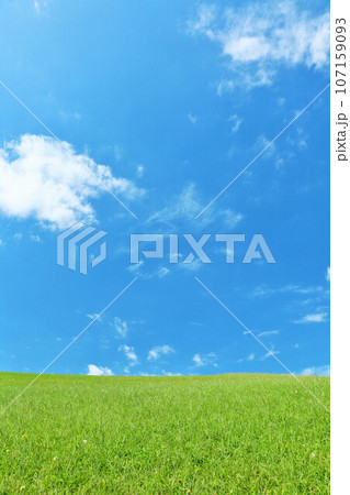 爽やかな夏の青空と新緑の草原風景 爽やかな夏の青空と新緑の草原風景 107159093