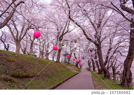 山形県南陽市の置賜さくら回廊の烏帽子山千本桜のある道 山形県南陽市の置賜さくら回廊の烏帽子山千本桜のある道 107160882