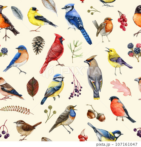 Backyard garden birds seamless pattern. Watercolor illustration. Hand painted red cardinal, bluebird, waxwing, robin with leaves, berries, natural elements seamless pattern. Light background Backyard garden birds seamless pattern. Watercolor illustration. Hand painted red cardinal, bluebird, waxwing, robin with leaves, berries, natural elements seamless pattern. Light background 107161047