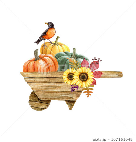 Autumn vintage style decor with pumpkins in a wooden barrow. Watercolor illustration. Hand drawn cozy autumn decor with perched robin bird. Pumpkins in wooden wheelbarrow with floral decoration 107161049