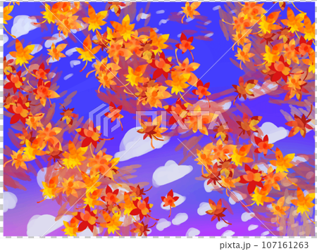 秋天的楓葉和鱗片雲 107161263