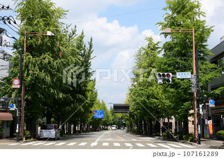 夏の甲州街道 高尾駅前 東京都八王子市 夏の甲州街道 高尾駅前 東京都八王子市 107161289