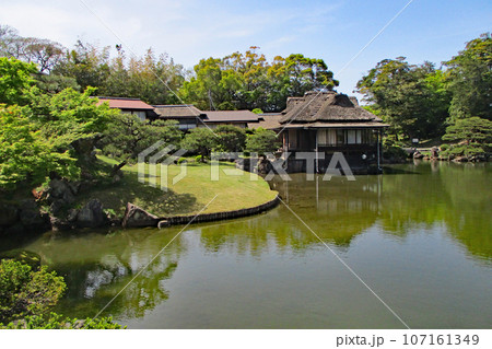 彦根城庭園・玄宮園 彦根城庭園・玄宮園 107161349