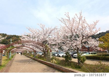 若狭港　金ヶ崎緑地　敦賀赤レンガ倉庫　敦賀鉄道資料館　人道の港敦賀ムゼウム　金ヶ崎緑地の時計台　　 107161677