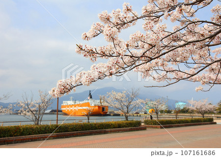 若狭港　金ヶ崎緑地　敦賀赤レンガ倉庫　敦賀鉄道資料館　人道の港敦賀ムゼウム　金ヶ崎緑地の時計台　　 107161686