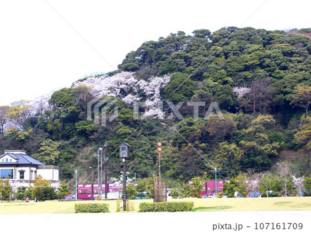 若狭港 金ヶ崎緑地 敦賀赤レンガ倉庫 敦賀鉄道資料館 人道の港敦賀ムゼウム 金ヶ崎緑地の時計台 若狭港 金ヶ崎緑地 敦賀赤レンガ倉庫 敦賀鉄道資料館 人道の港敦賀ムゼウム 金ヶ崎緑地の時計台 107161709