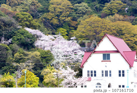 若狭港 金ヶ崎緑地 敦賀赤レンガ倉庫 敦賀鉄道資料館 人道の港敦賀ムゼウム 金ヶ崎緑地の時計台   若狭港 金ヶ崎緑地 敦賀赤レンガ倉庫 敦賀鉄道資料館 人道の港敦賀ムゼウム 金ヶ崎緑地の時計台   107161710