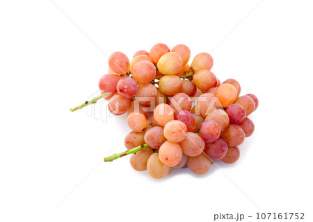 コトピー(甲斐乙女×シャインマスカット)【白背景・切り抜き】 コトピー(甲斐乙女×シャインマスカット)【白背景・切り抜き】 107161752