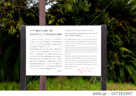 若狭港 金ヶ崎緑地 敦賀赤レンガ倉庫 敦賀鉄道資料館 人道の港敦賀ムゼウム 金ヶ崎緑地の時計台 若狭港 金ヶ崎緑地 敦賀赤レンガ倉庫 敦賀鉄道資料館 人道の港敦賀ムゼウム 金ヶ崎緑地の時計台 107162007