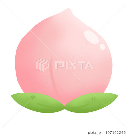 illustration of Peach 107162246