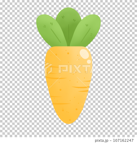 illustration of Carrot 107162247